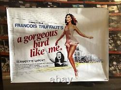 Gorgeous Bird Like Me, 1972 Original British Quad Movie Poster GALA