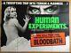 Human Experiments Original British Quad Cinema Movie Poster, Video Nasty