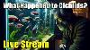 Live What Happened To African Cichlids Plus A Fish Q U0026a