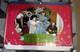 Meet Me In St. Louis Uk Quad (30x 40) Rolled Poster Judy Garland Bfi 2001