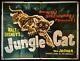 Affiche De Cinéma De Jungle Cat Walt Disney Documentaire James Algar 1959