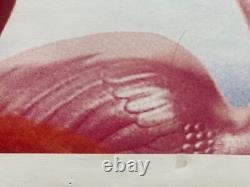 Affiche originale UK Quad repliée en très bon état pour le 25e anniversaire des rares flamants roses