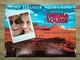 Thelma Et Louise (1991) Rare Affiche De Film Originale Uk Quad Double Face Roulée